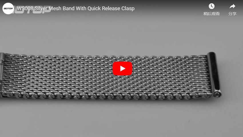 WS008 Silver Mesh Band With Quick Release Clasp
