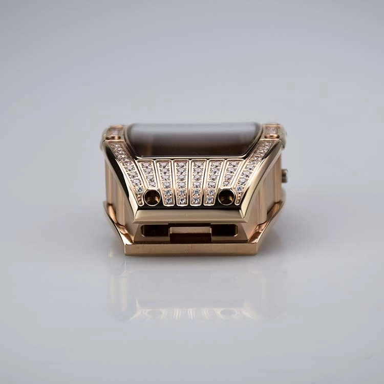 Stainless Steel Watch Case with Polished Case Surface