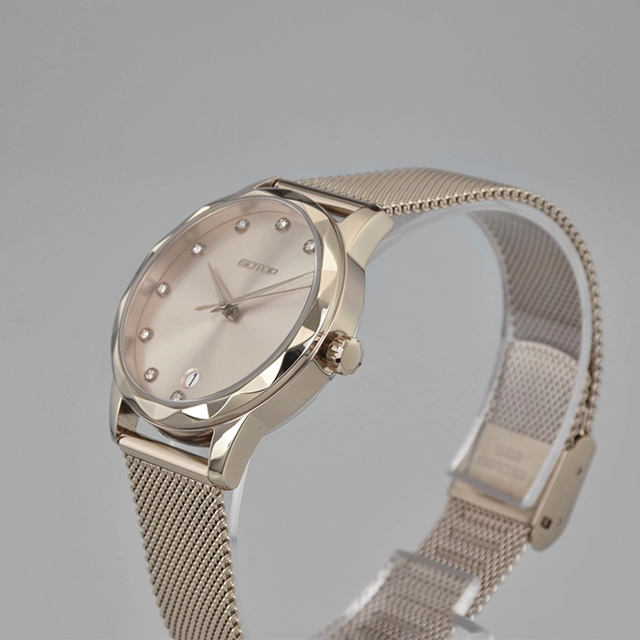 Sunray Dial Steel Watch for Woman