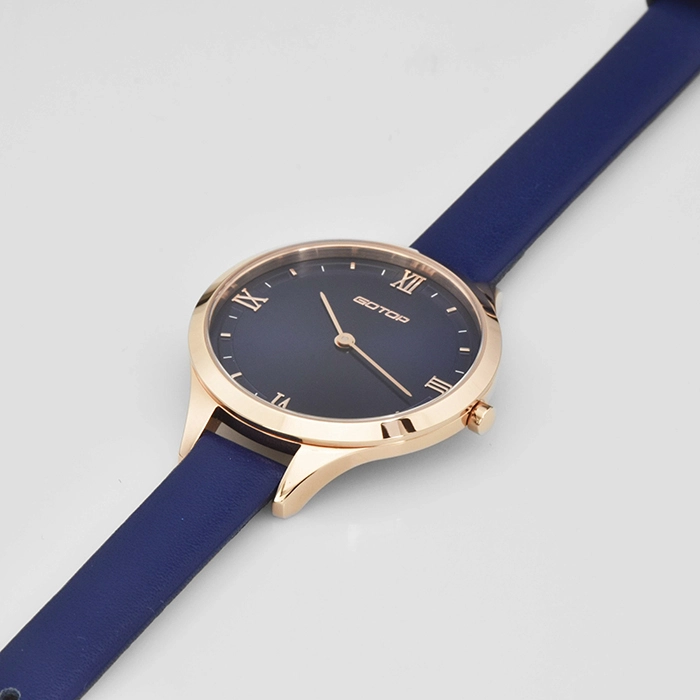 Sunray Dial Steel Case Watch for Woman