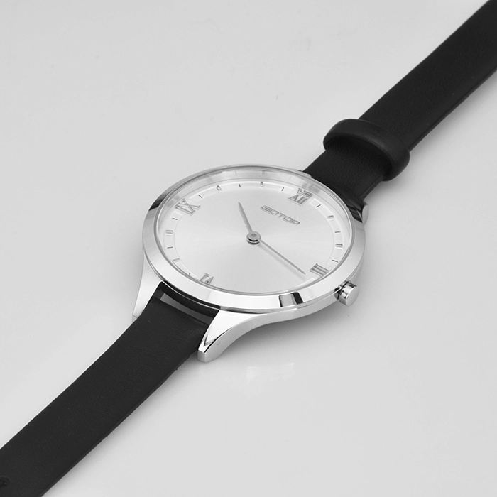 Sunray Dial Steel Case Watch for Woman